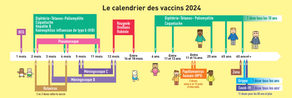 Le calendrier des vaccins 2024