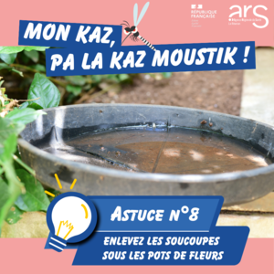 Astuce n°8 : Enlevez les soucoupes sous les pots de fleurs