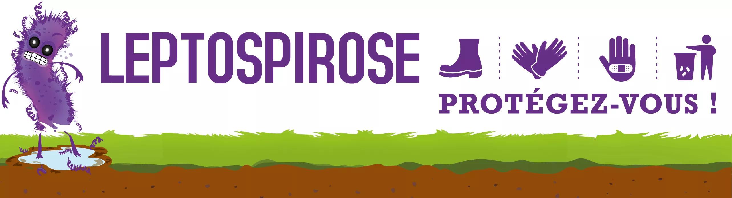 Leptospirose : Protégez-vous