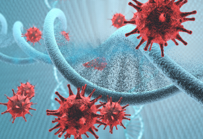 Maladies infectieuses