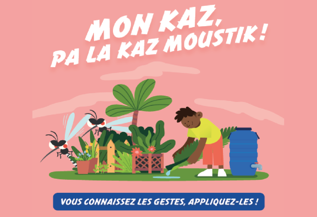 « Mon kaz, pa la kaz moustik ! »