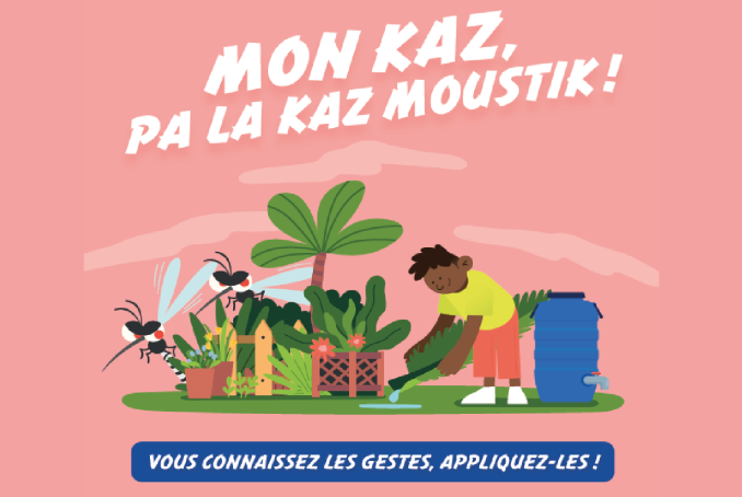 « Mon kaz, pa la kaz moustik ! »