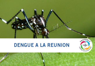 visuel_moustique CP DENGUE_Réunion