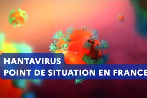 vignette Hantavirus