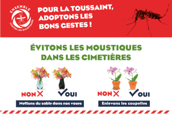 Prévention de la dengue à l’occasion de la toussaint : appliquons les bons gestes dans les cimetières !