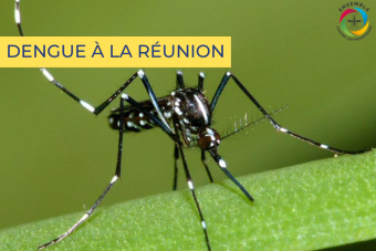 Dengue à la réunion