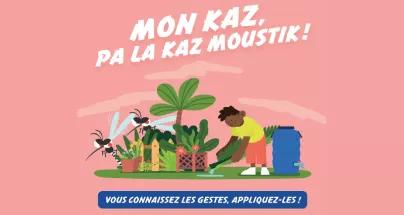 « Mon kaz, pa la kaz moustik ! »