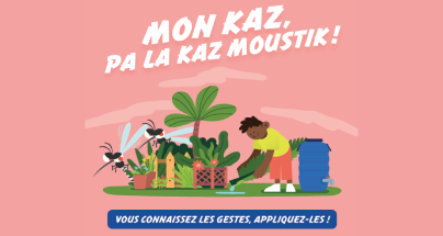 « Mon kaz, pa la kaz moustik ! »