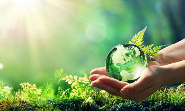 Mains prenant soin de la Terre