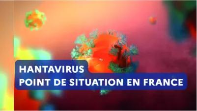 vignette Hantavirus