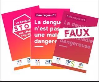 Idées reçues Dengue