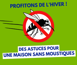 Visuel Campagne Astuces pour une Maison Sans Moustiques