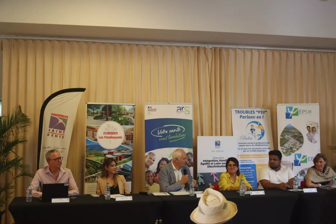Réunion des partenaires en amont de la marche festive en faveur de la santé mentale, Mad Pride 2026