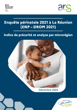 Indice de précarité et analyse par microrégion