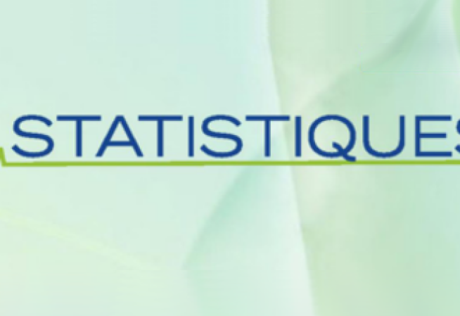 Statistique Annuelle des Etablissement (SAE)
