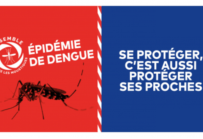 Dengue epidemic: protecting yourself also means protecting your loved ones