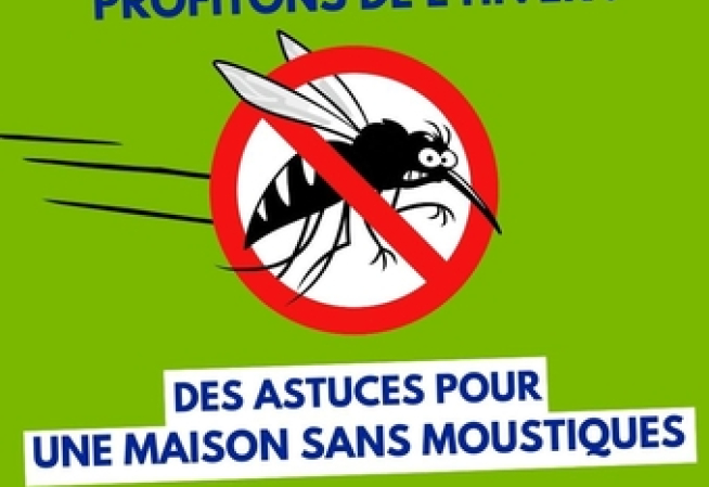 Profitons de l'hiver - Astuces Dengue