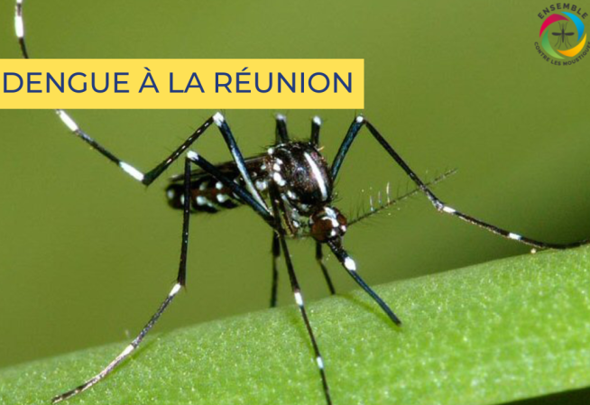 Dengue à la réunion