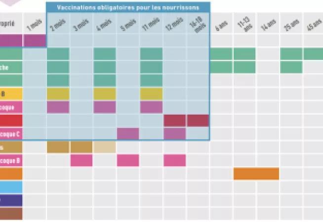 Calendrier des vaccinations 2024