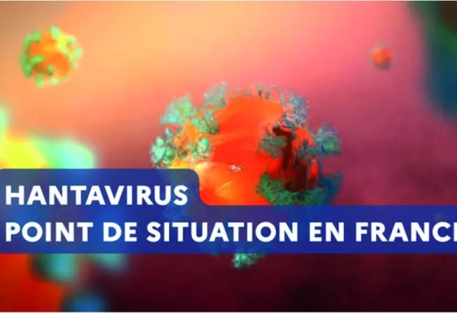 vignette Hantavirus