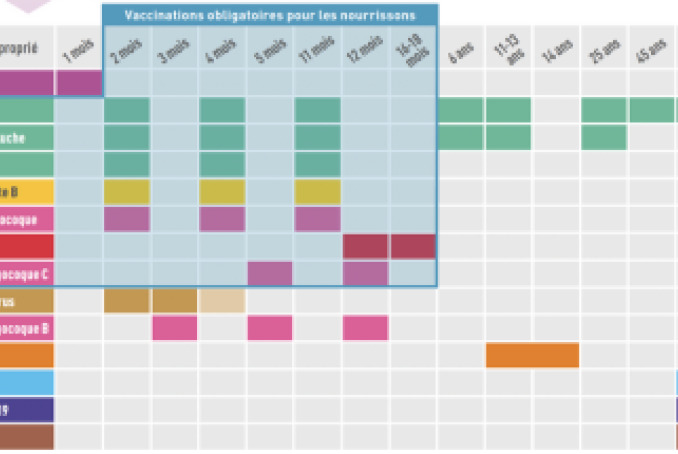 Calendrier des vaccinations 2024