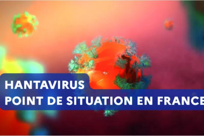 vignette Hantavirus